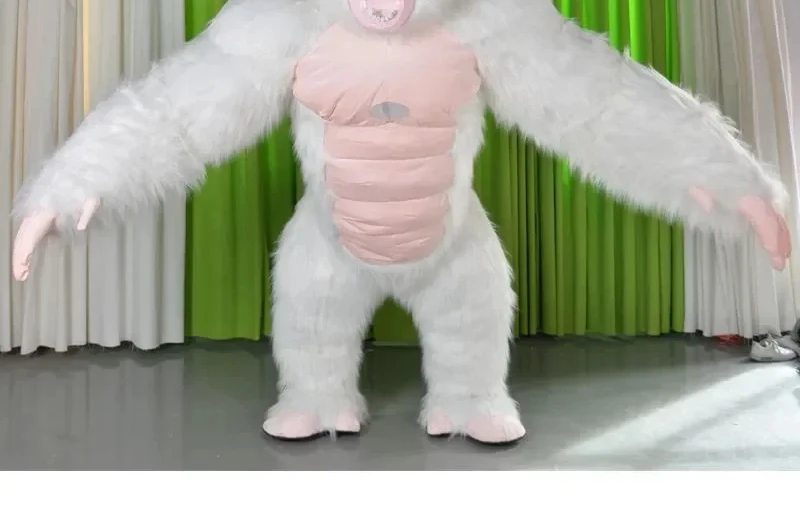 Christmas Real Life Inflatable - Anime Cosplay Real Life review and price