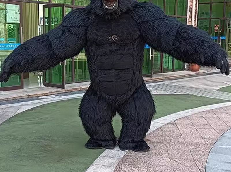 Real Life Inflatable Gorilla C - Anime Cosplay Real Life review and price