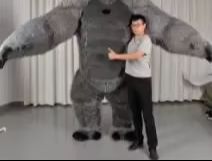 Real Life Inflatable Gorilla C - Anime Cosplay Real Life review and price