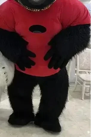 Christmas Real Life Inflatable - Anime Cosplay Real Life review and price