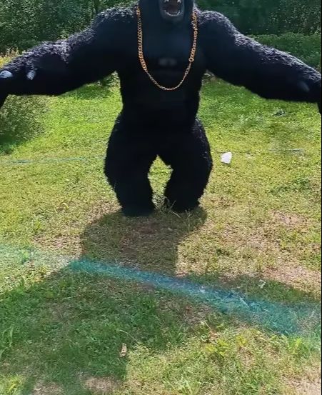 Real Life Inflatable Gorilla C - Anime Cosplay Real Life review and price