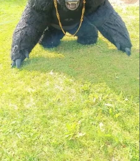 Real Life Inflatable Gorilla C - Anime Cosplay Real Life review and price