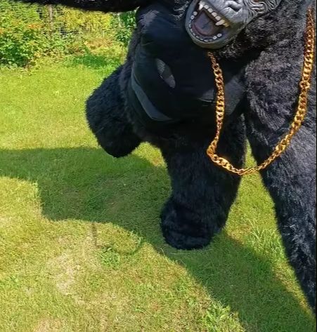 Real Life Inflatable Gorilla C - Anime Cosplay Real Life review and price
