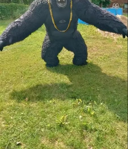 Real Life Inflatable Gorilla C - Anime Cosplay Real Life review and price