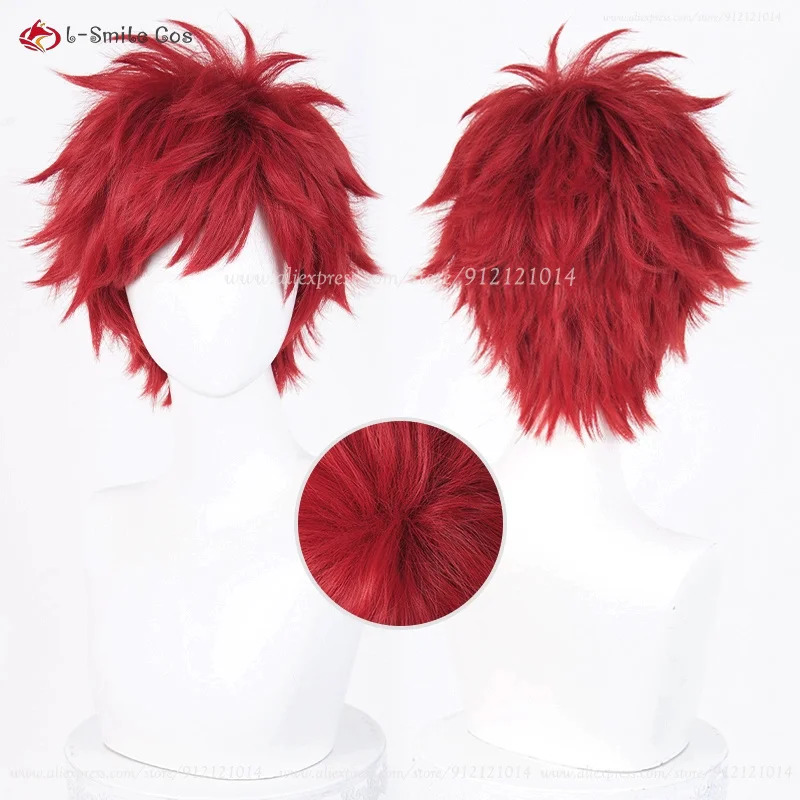 Anime Reinhard Van Astrea Cosp - Anime Cosplay Nun review and price